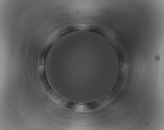 X0000112530507200908311425