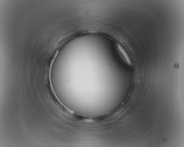 X0000112530509200908311425