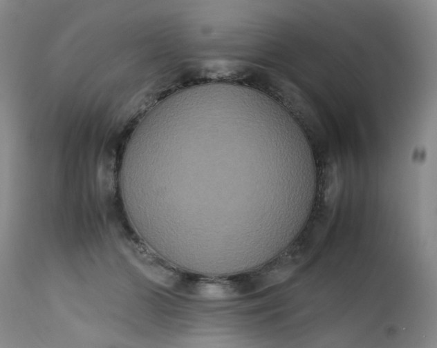 X0000112530510200908311425