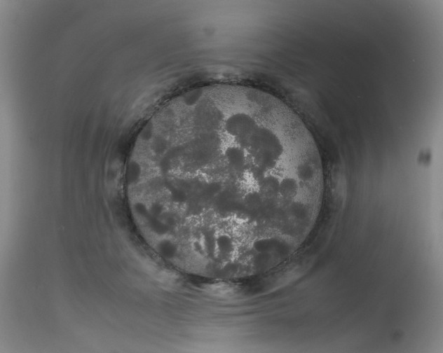 X0000112530511200908311425