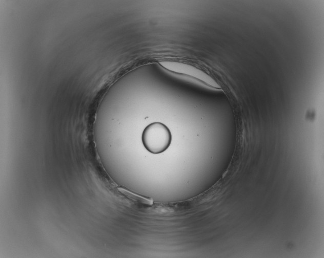 X0000112530512200908311425