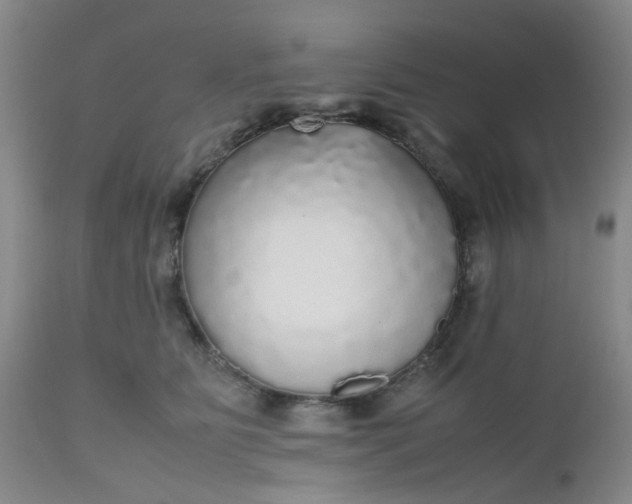 X0000112530515200908311425
