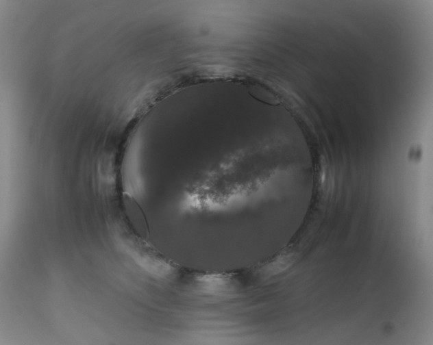 X0000112530516200908311425