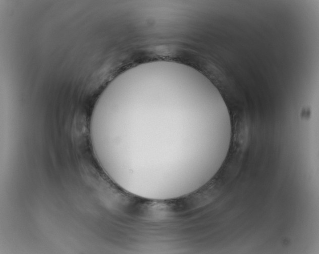 X0000112530518200908311425