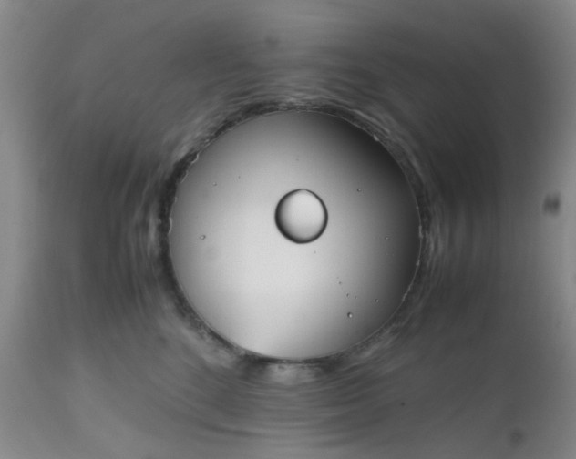 X0000112530520200908311425