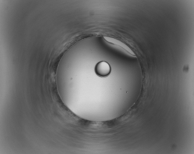 X0000112530521200908311425