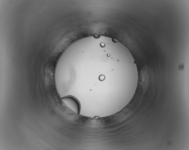 X0000112530522200908311425