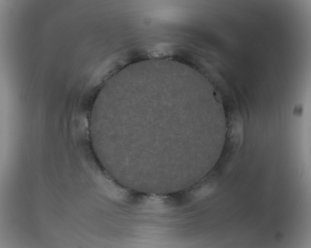 X0000112530523200908311425
