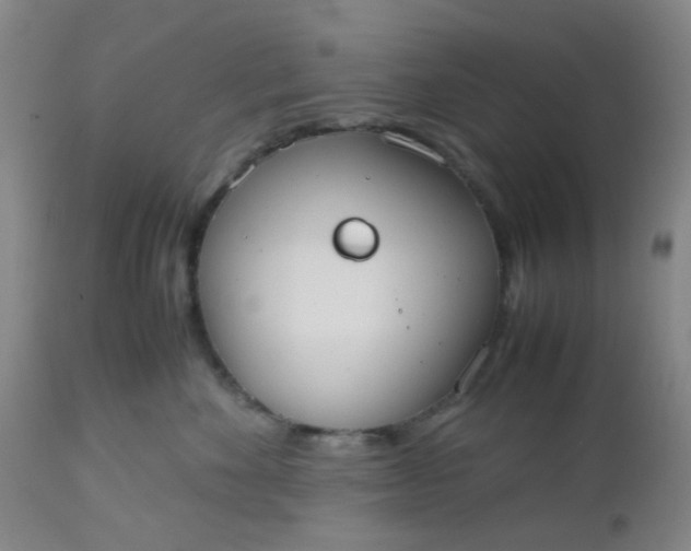 X0000112530524200908311425