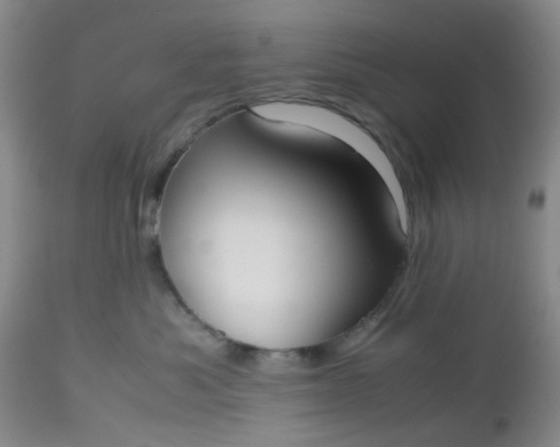 X0000112530525200908311425