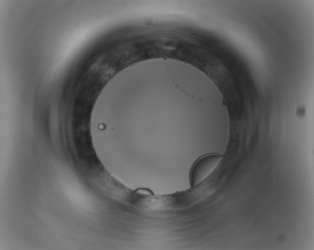 X0000112530526200908311425