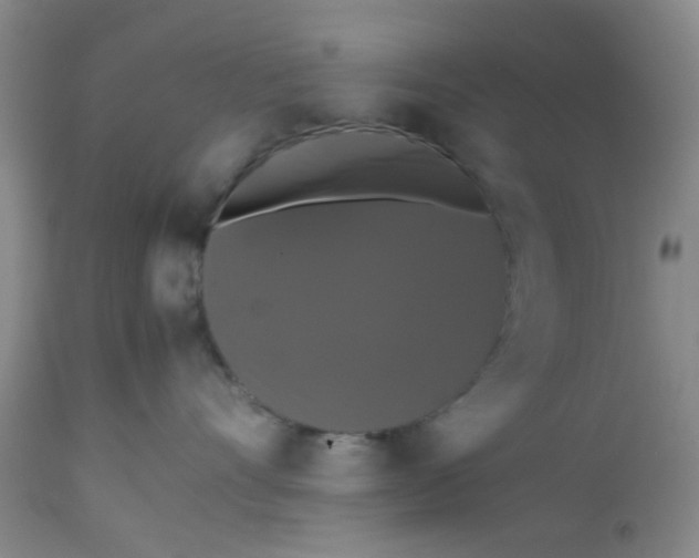 X0000112530528200908311425