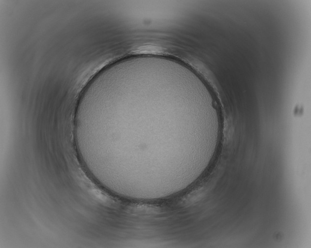 X0000112530529200908311424