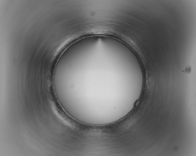 X0000112530530200908311424
