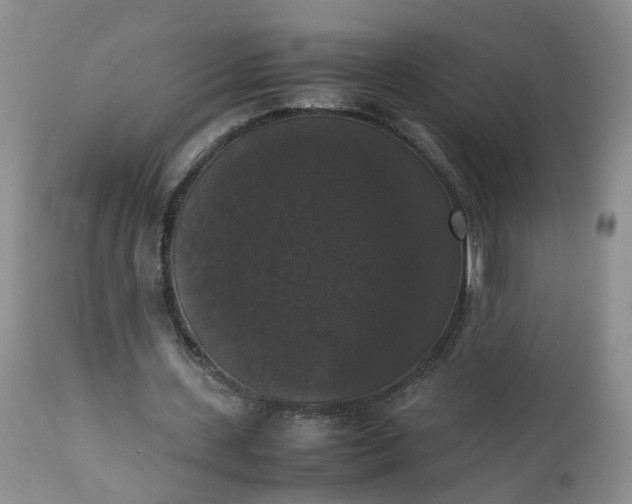 X0000112530531200908311424