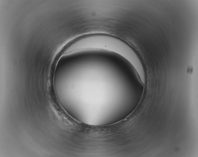 X0000112530532200908311424