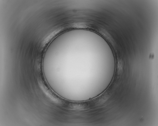 X0000112530533200908311424