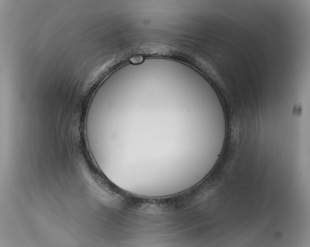 X0000112530538200908311425