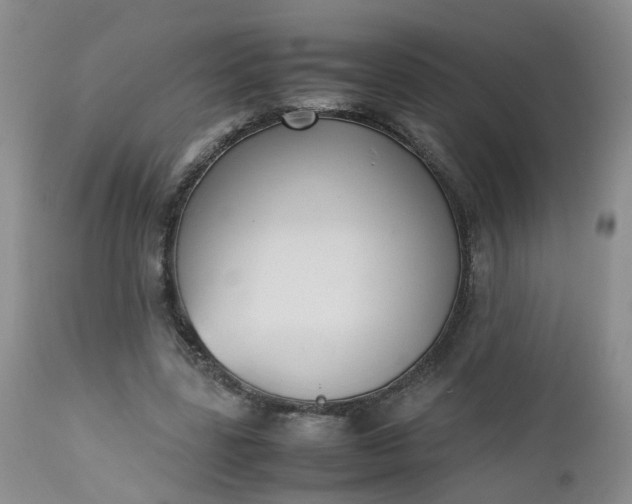 X0000112530539200908311425