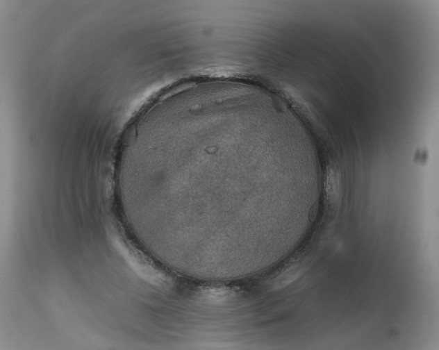X0000112530540200908311425