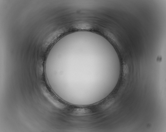 X0000112530541200908311425