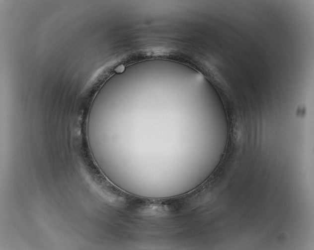 X0000112530543200908311425