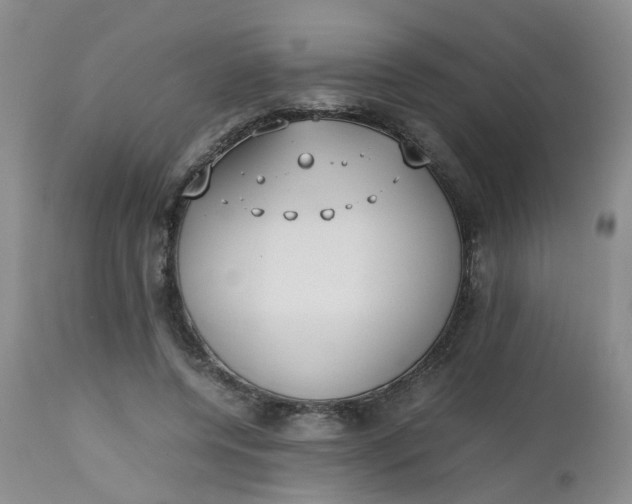X0000112530544200908311425