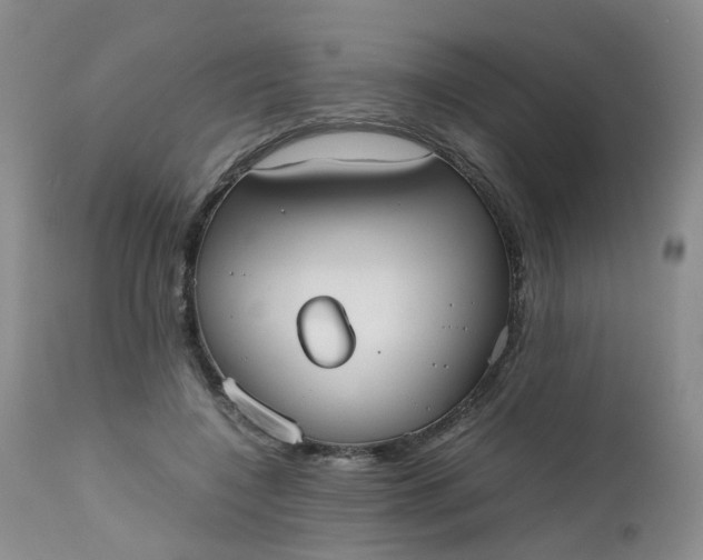 X0000112530548200908311425