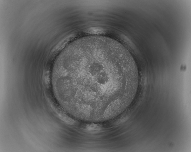 X0000112530549200908311425
