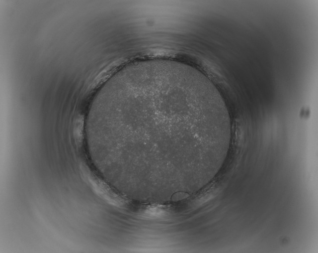 X0000112530550200908311425