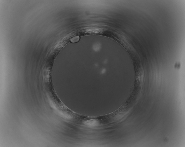 X0000112530551200908311425