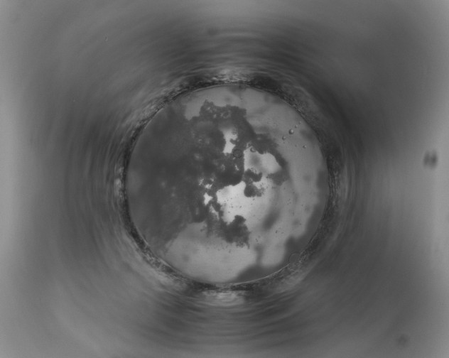 X0000112530553200908311425