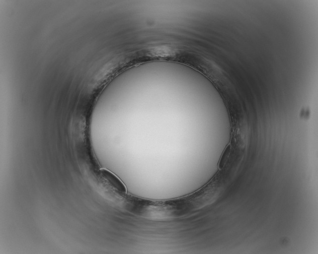 X0000112530556200908311425