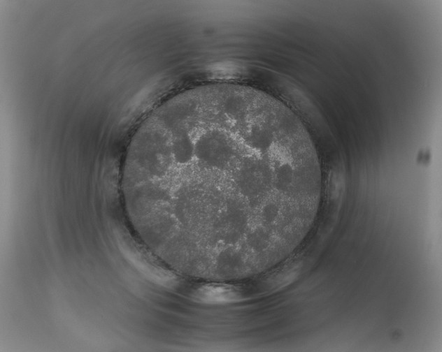 X0000112530557200908311425