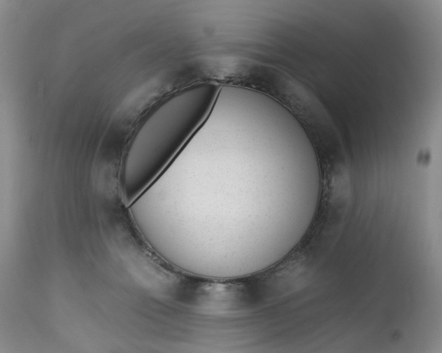 X0000112530558200908311425