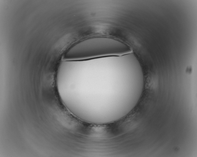 X0000112530560200908311425