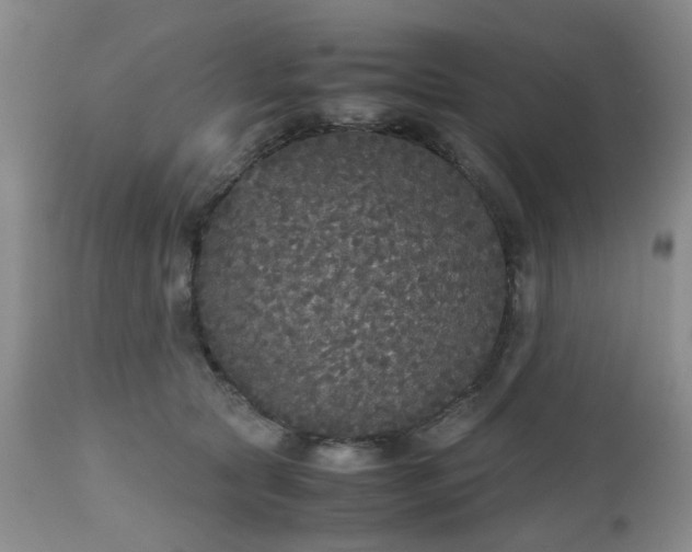 X0000112530561200908311425
