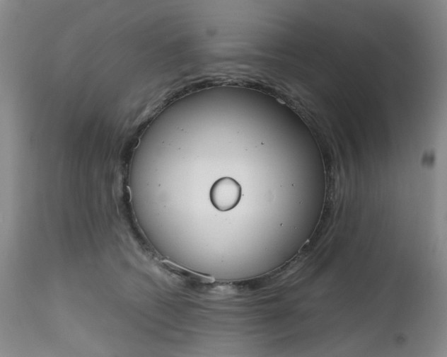 X0000112530562200908311425
