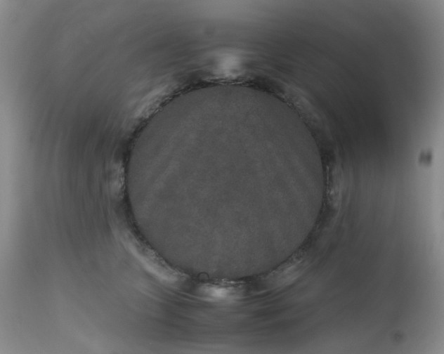 X0000112530563200908311425
