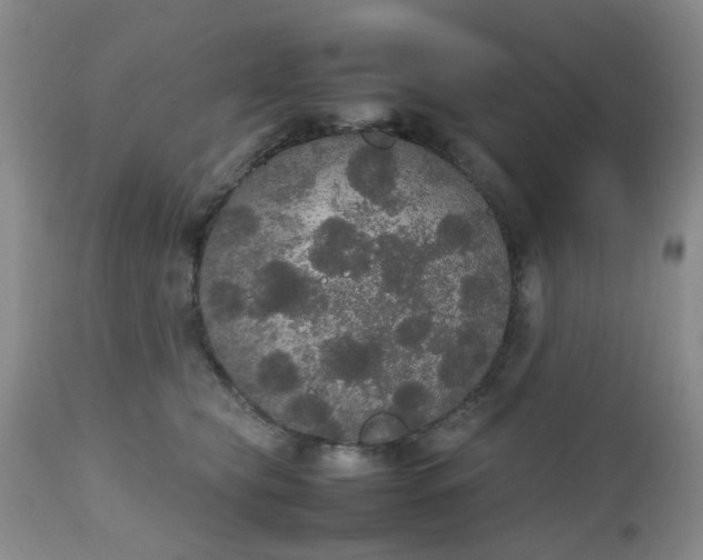 X0000112530565200908311425