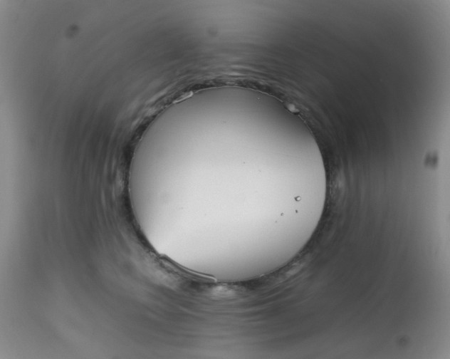 X0000112530566200908311425