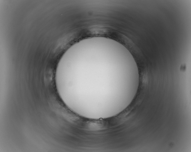 X0000112530567200908311425