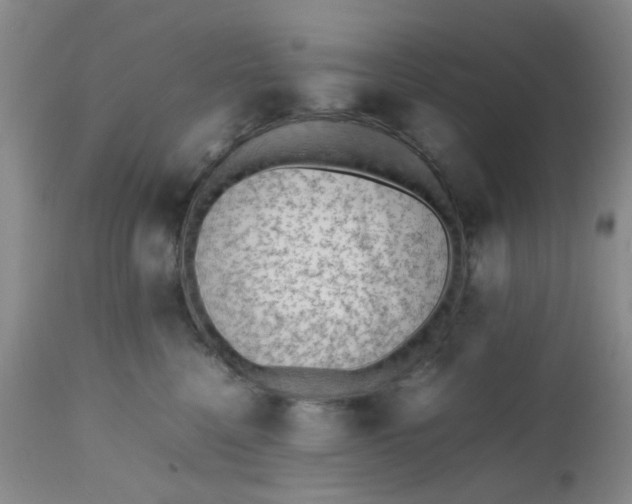 X0000112530568200908311425