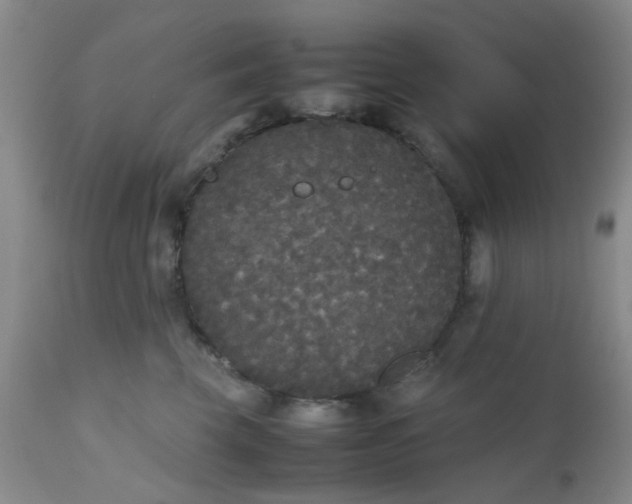 X0000112530569200908311425