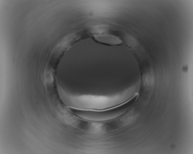 X0000112530570200908311425
