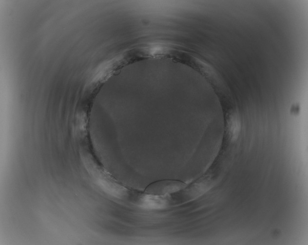 X0000112530571200908311425