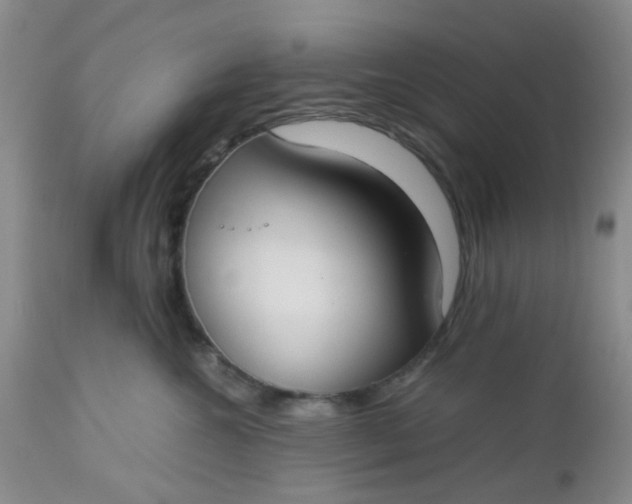 X0000112530572200908311425