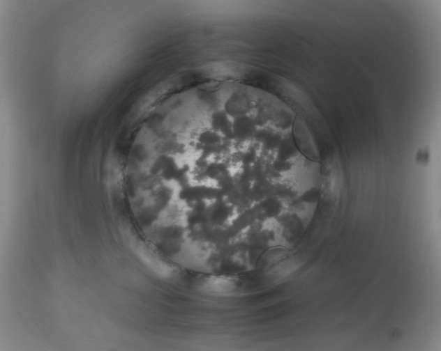 X0000112530573200908311425