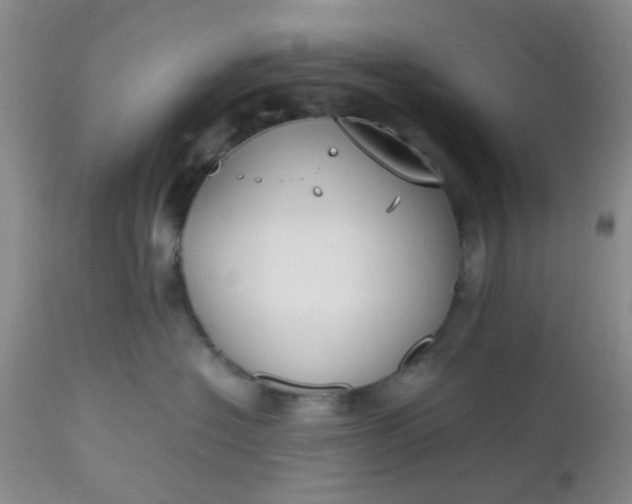 X0000112530574200908311425