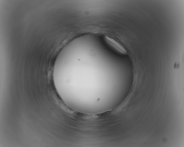 X0000112530576200908311425